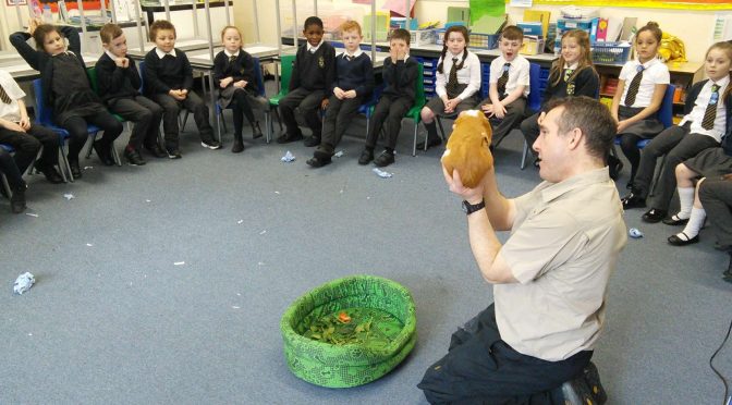 Year 2 Animal Workshop