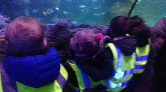 Visit to the Sea Life Centre