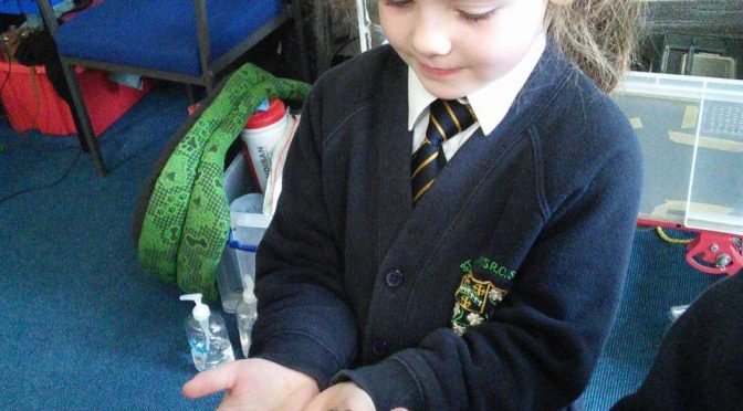 Year 1 – Special Visitors!