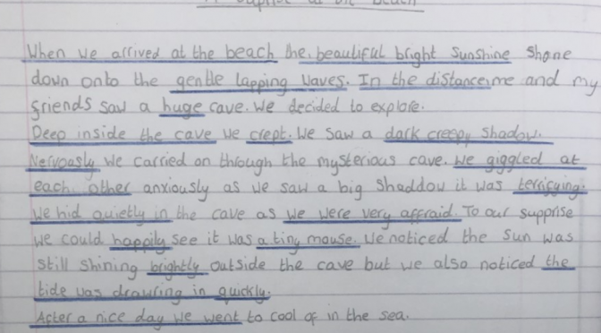 Pyramids, the digestive system, mini-beasts and teeth!