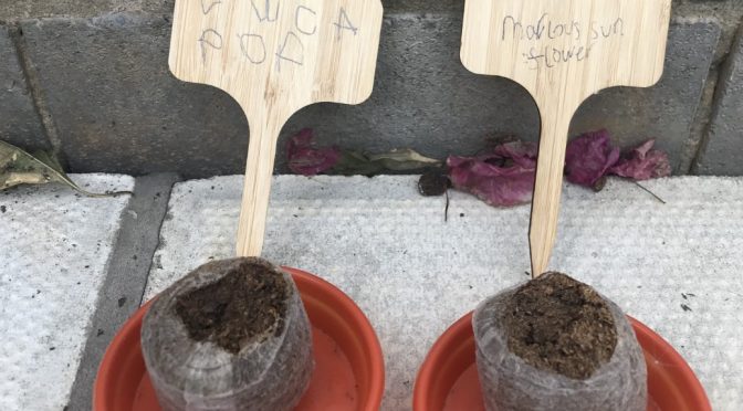 Even more brilliant home learning