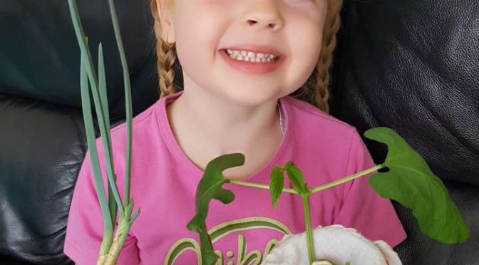 Gingerbread men and growing veg